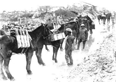 Pack Horses Taking Ammunition to Guns of 20th Battery
